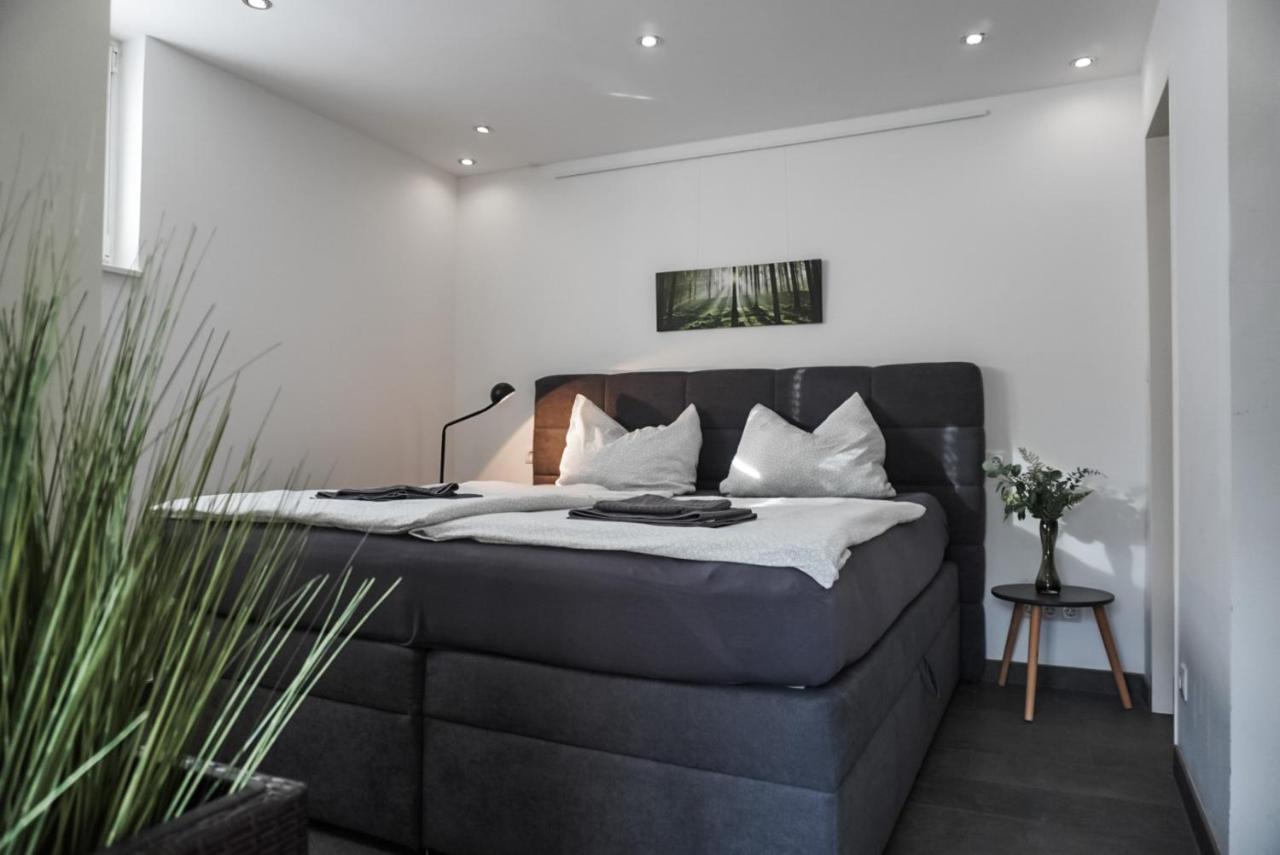 Neu Gebautes Apartment Mit Sonnenterasse In Der Naehe Vom Siebengebirge & Bonn Königswinter Екстериор снимка
